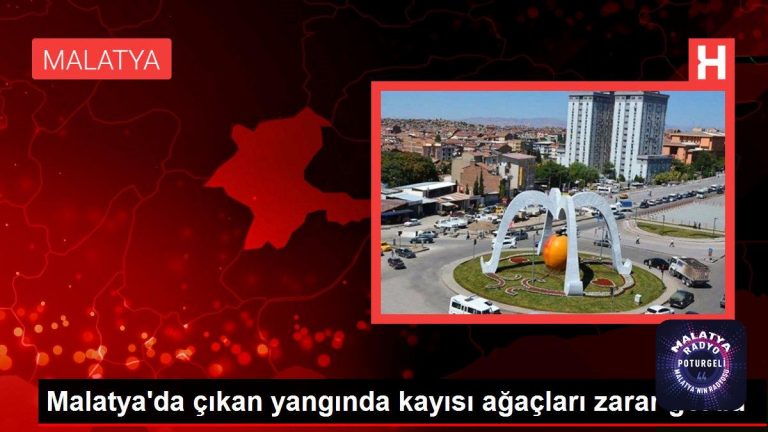 Son dakika haberi! Malatya’da çıkan yangında kayısı ağaçları zarar gördü