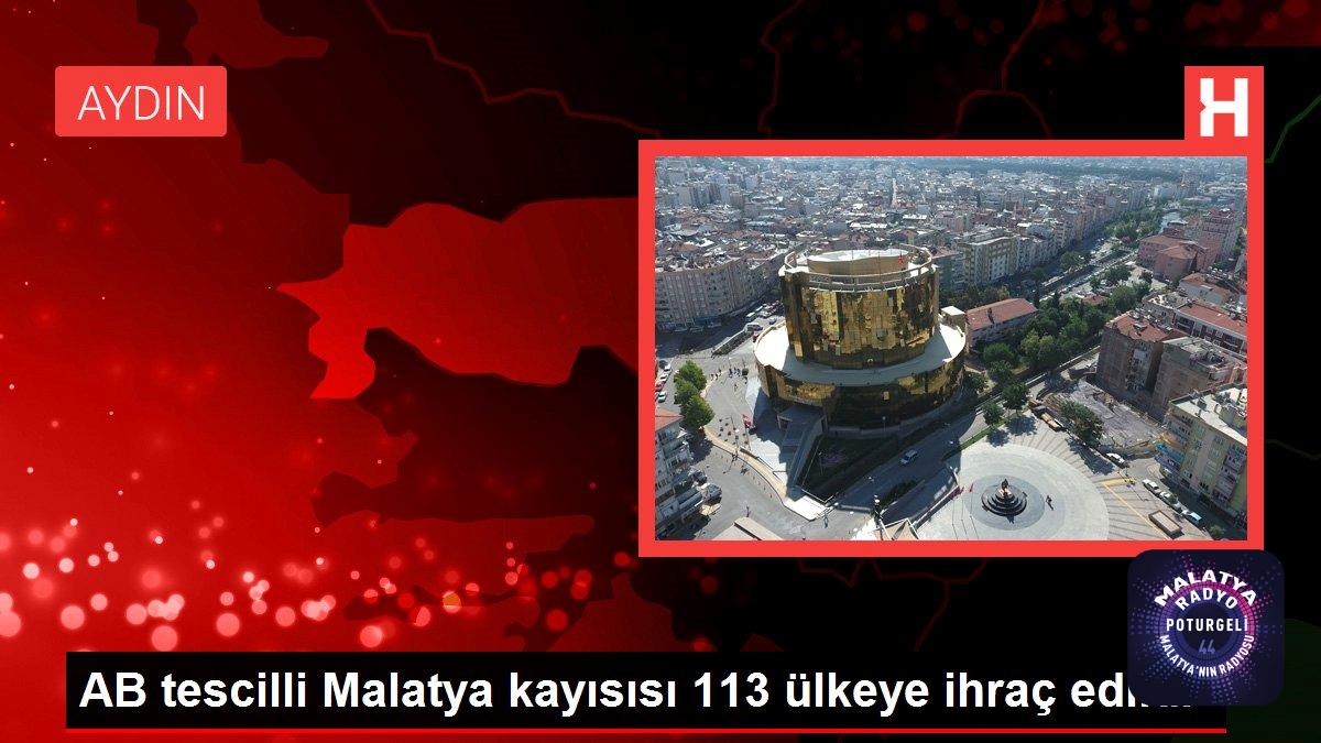 Malatya haberi: AB tescilli Malatya kayısısı 113 ülkeye ihraç edildi