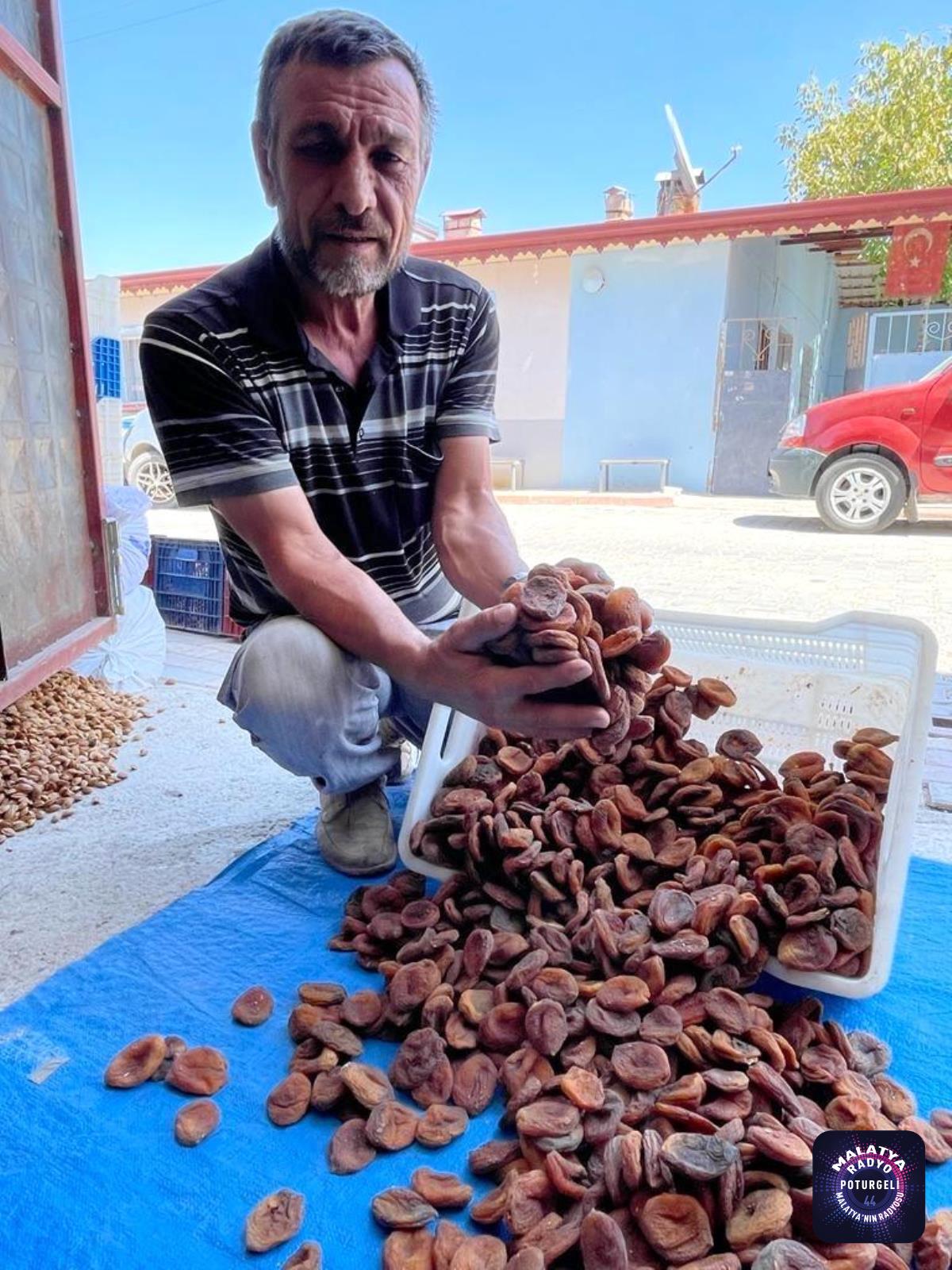 Organik gün kurusu kayısının tanesi 2 TL