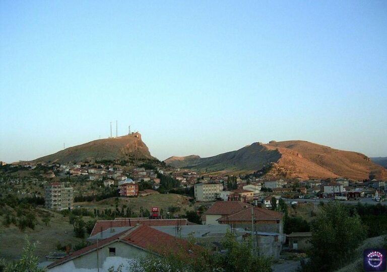 Hekimhan merkez nerede? Hekimhan ilçesinin nüfusu, yüzölçümü ne kadar? Hekimhan ilçesi hangi ile bağlı?