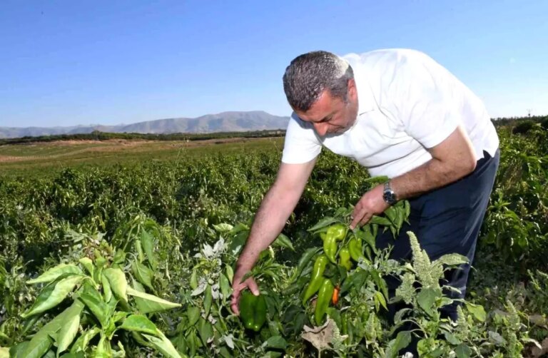 Malatya’da Kapya Biber İhracı Artıyor