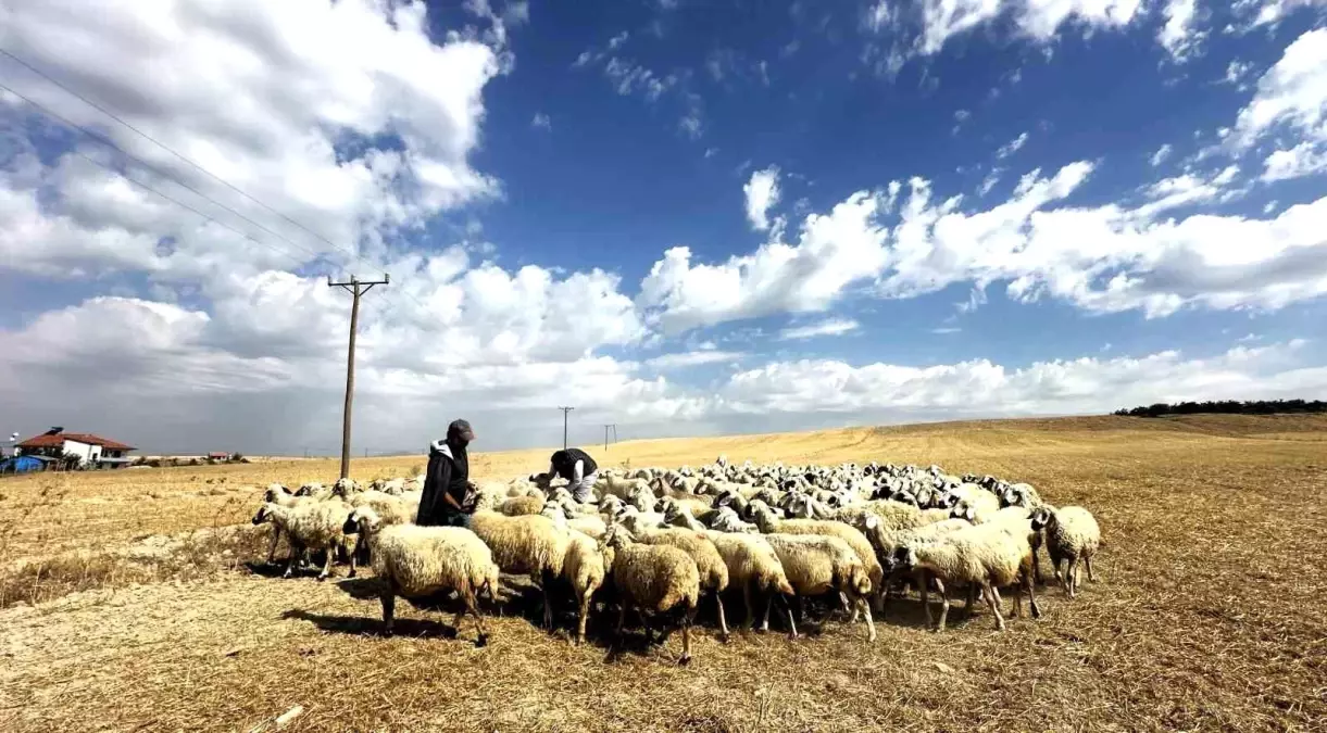 Malatya’da Yüzlerce Yetiştirici Kış Dönüşü İçin Yola Çıktı