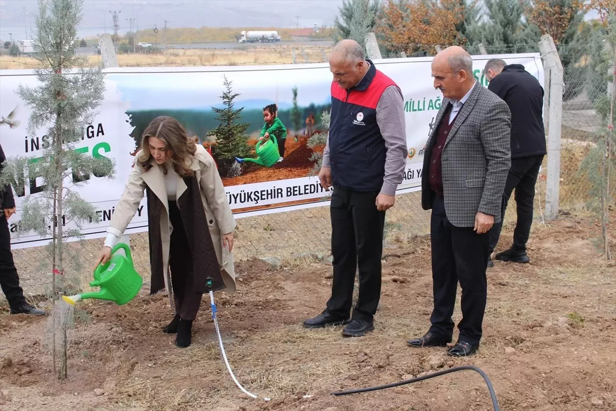 Malatya’da 11 Kasım Ağaçlandırma Günü Etkinlikleri